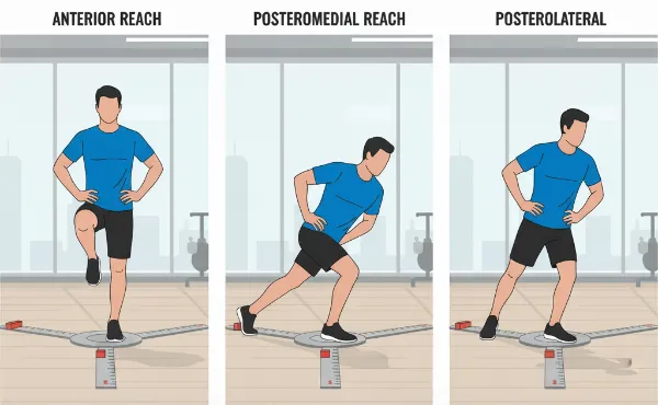 מבדק Y לשיווי משקל